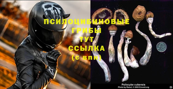 ALPHA PVP Аркадак