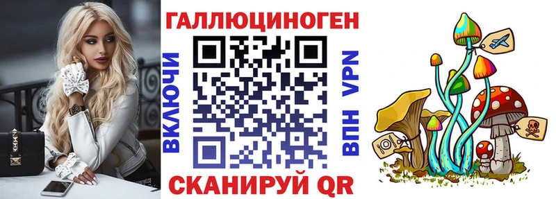blacksprut   Островной  Галлюциногенные грибы GOLDEN TEACHER 